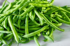 30 Provider Bush Green Bean Seeds - Heirloom NonGMO SUPER High Yields 