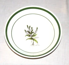 Primula Italy Veronica anagallis aquatica 11.3/4 inch Round Serving Bowl