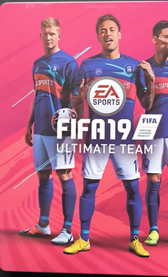 FIFA 19 Ultimate Team SteelBook Edition PS4 PAL USK 0
