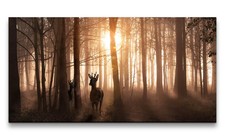 120x60cm Leinwandbild Rehe Wald Sonnenstrahl Bäume Natur Stille