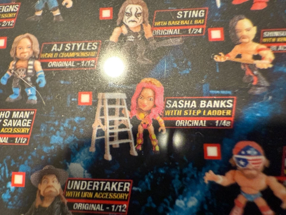 Figura Vinilo Loyal Subjects WWE Sasha Banks EE. UU. 1/48 CHASE NUEVO Sin Caja Foto 3 de 3