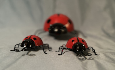 New Set Of 3 Red Ladybugs Garden Decor Red Bugs Plant Pot 2 Diffrent Sizes