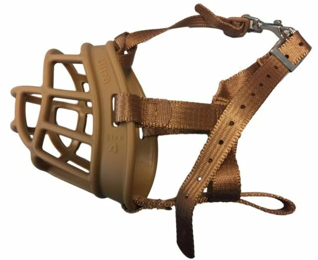 The Company of Animals otros suministros para perros