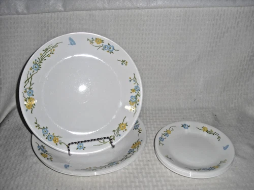 9 Plate Set Lot - VTG Corelle Traditions Dinnerware Corning FLIRTATION  2 Sizes