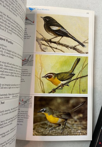 Lot of 3 Books The Audubon Society Master Guide to Birding Volumes 1-3 - Picture 17 of 17