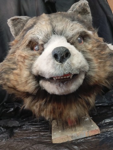 Rocket Raccoon Mask - Foto 6 di 9