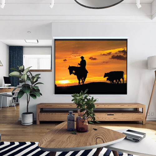 60/72/84/92/100'' Projector Screen Manual Pull Down Wall Mounte Matt Home Cinema - Picture 3 of 13