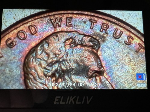 2008 D Colorful Woody Penny - Picture 3 of 8