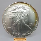 1986 American Silver Eagle 1 oz .999 Silver, Both Side Toned - #C59459NQ