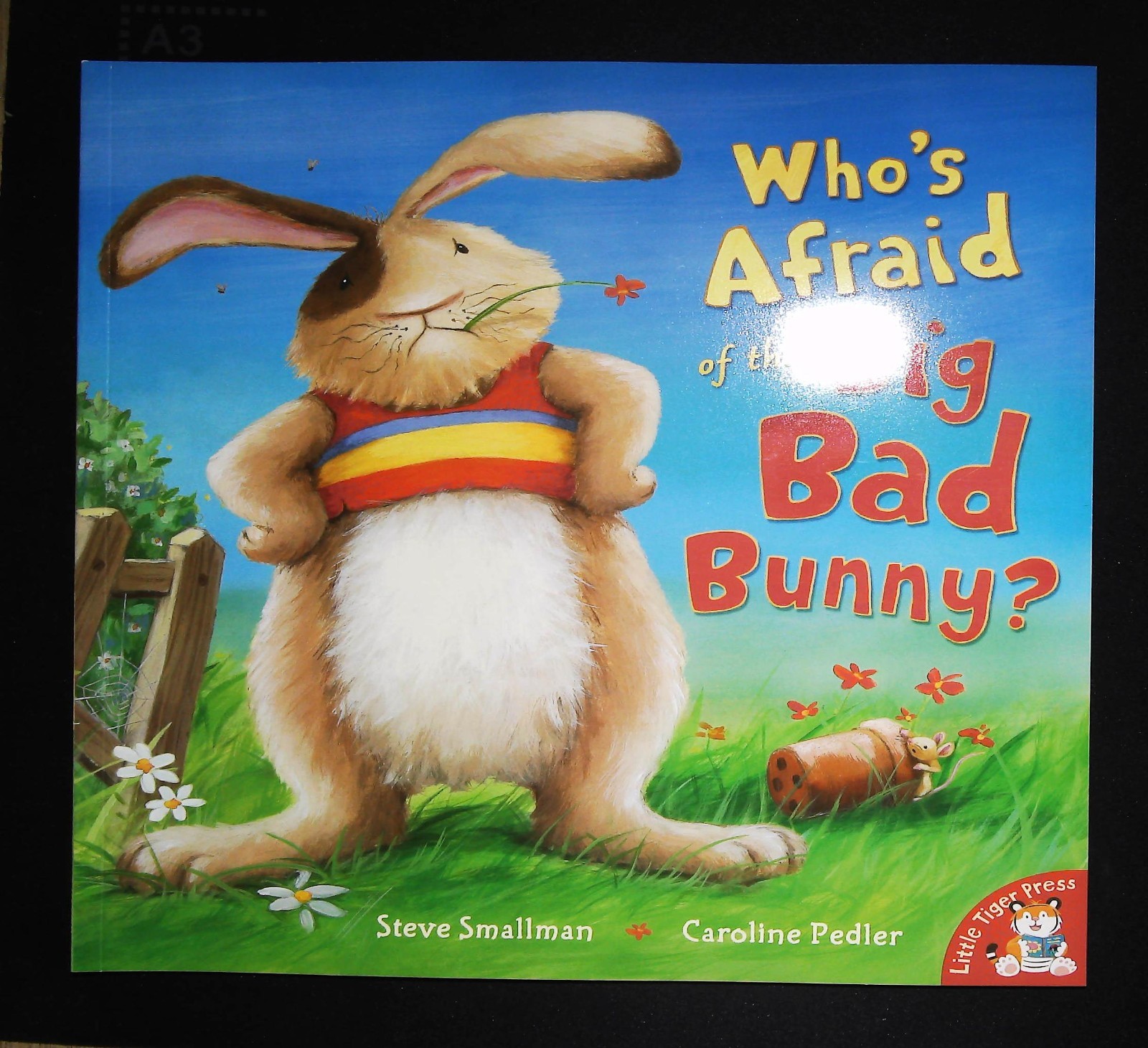 Who's Afraid of the Big Bad Bunny Steve Smallman Children's Story Book NEW