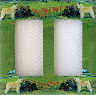 Bouvier Double Rocker light switch plate, made in USA