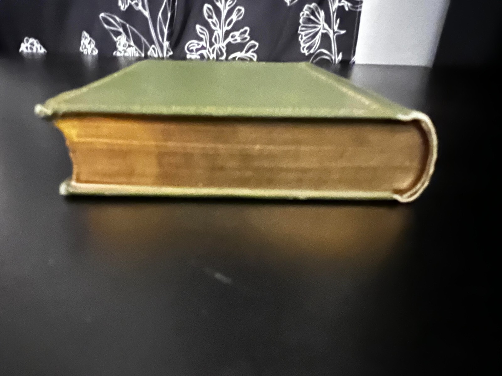 Vintage Edgar Allen Poe Book of Poetry - Poems of Edgar Allan Poe