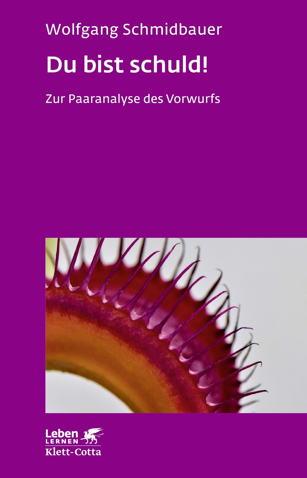 Thumbnail - Du Bist Schuld (leben Lernen, Bd. 315) Wolfgang Schmidbauer