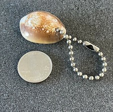 Ocean Seashell Travel Souvenir Keychain Key Ring 42891