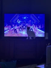 Torrid Frida Kahlo Purple/Pink Graphic Tee Size 6 Pre-owned