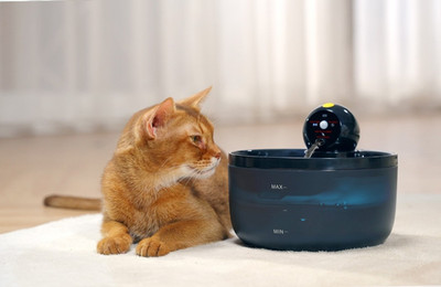 GOOIFUN Wireless Cat Water Fountain Model, Black Plastic Water Fountain, 1 Bowl