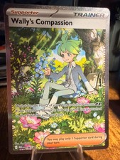 Pokemon TCG Wally's Compassion Mega Evolution SIR 186/132 on eBay