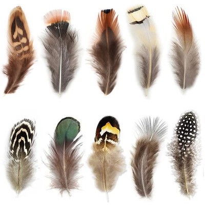 300pcs 10 Style Natural Feathers Assorted Mixed Feathers for Dream Catcher Cr...