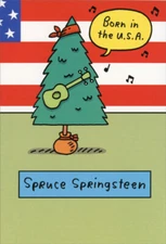 Nobleworks Spruce Springsteen Box of 12 Funny Christmas Cards