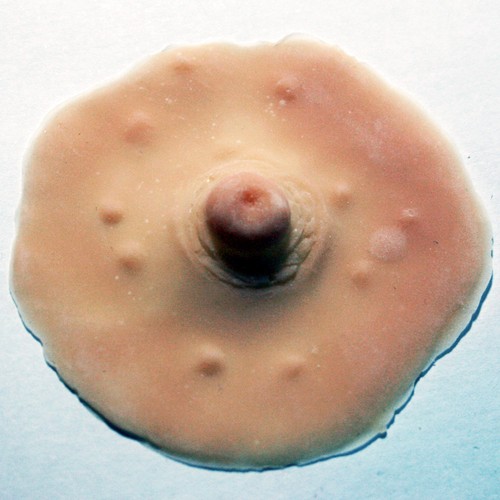 Item image in Unusual latex items