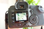 Bild 7 von 11