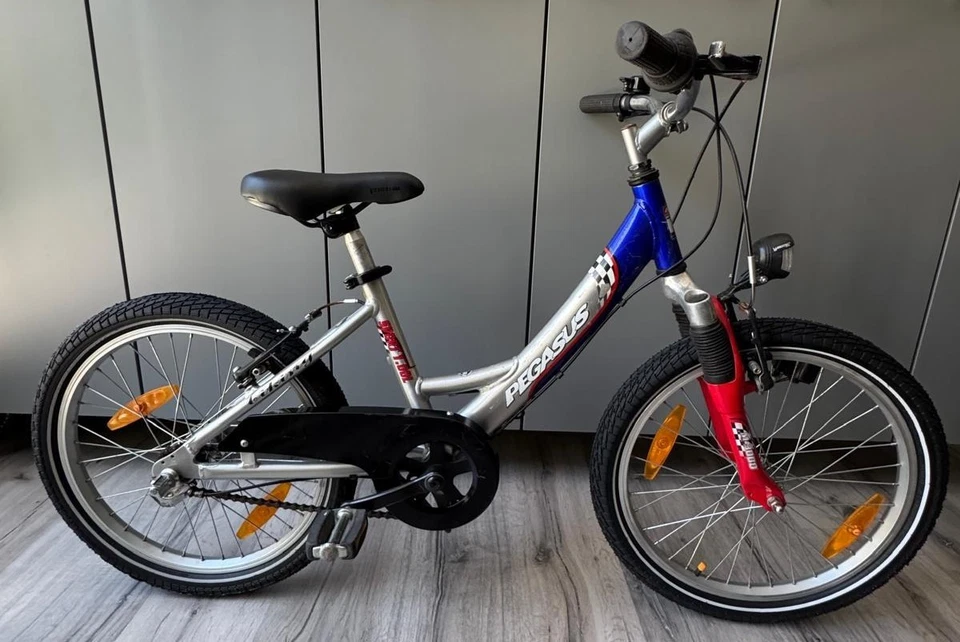 20" Kinder-Mountain-Bike: PEGASUS Sport 1.00 L