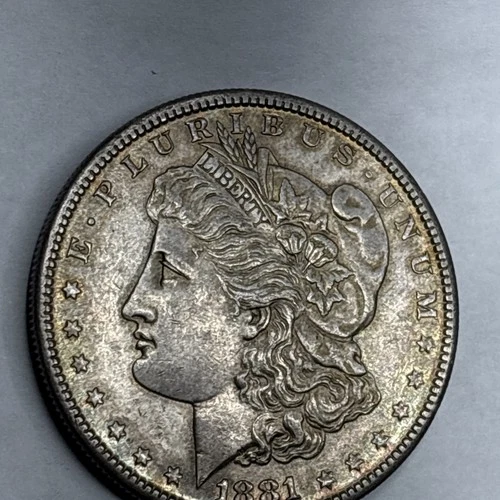 1881 S Morgan Silver Dollar Toned AU