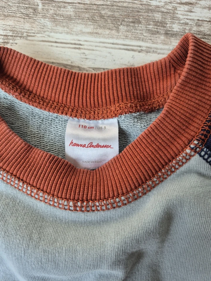 Sudadera Hanna Andersson Cuello Redondo Niños Talla 5 Colorblock Pullover Foto 4 de 4