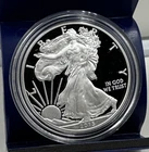 New Listing2015 W American Silver Eagle Gem Proof In Plastic Holder No Box