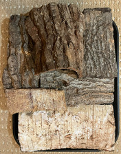 1kg Box of Mixed Large Bark Beech, Oak, Birch Vivarium Reptiles Snake Amphibians
