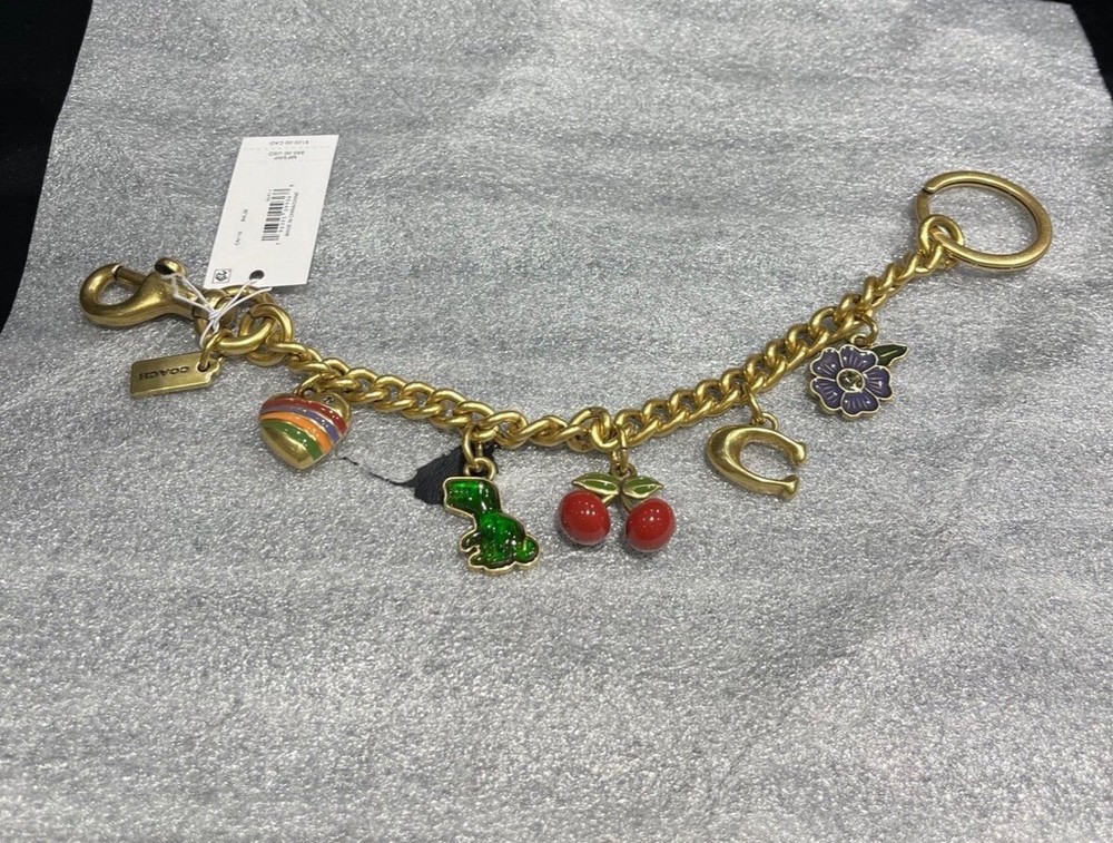 NWT Coach Motif Chain Bag Charm Rexy Tea Rose Cherries Heart  Brass Multi  Rare