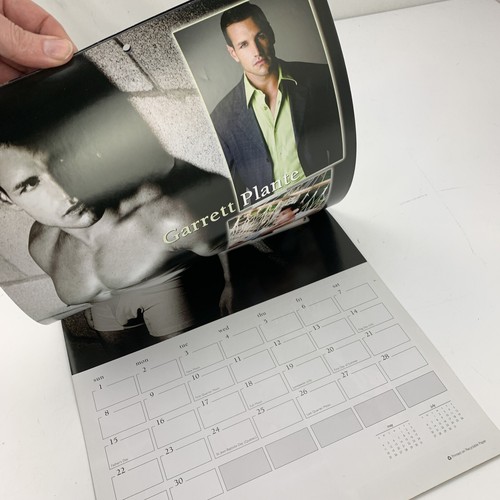 Chippendales Wall Calendar 2008 Men Shirtless - Picture 3 of 4