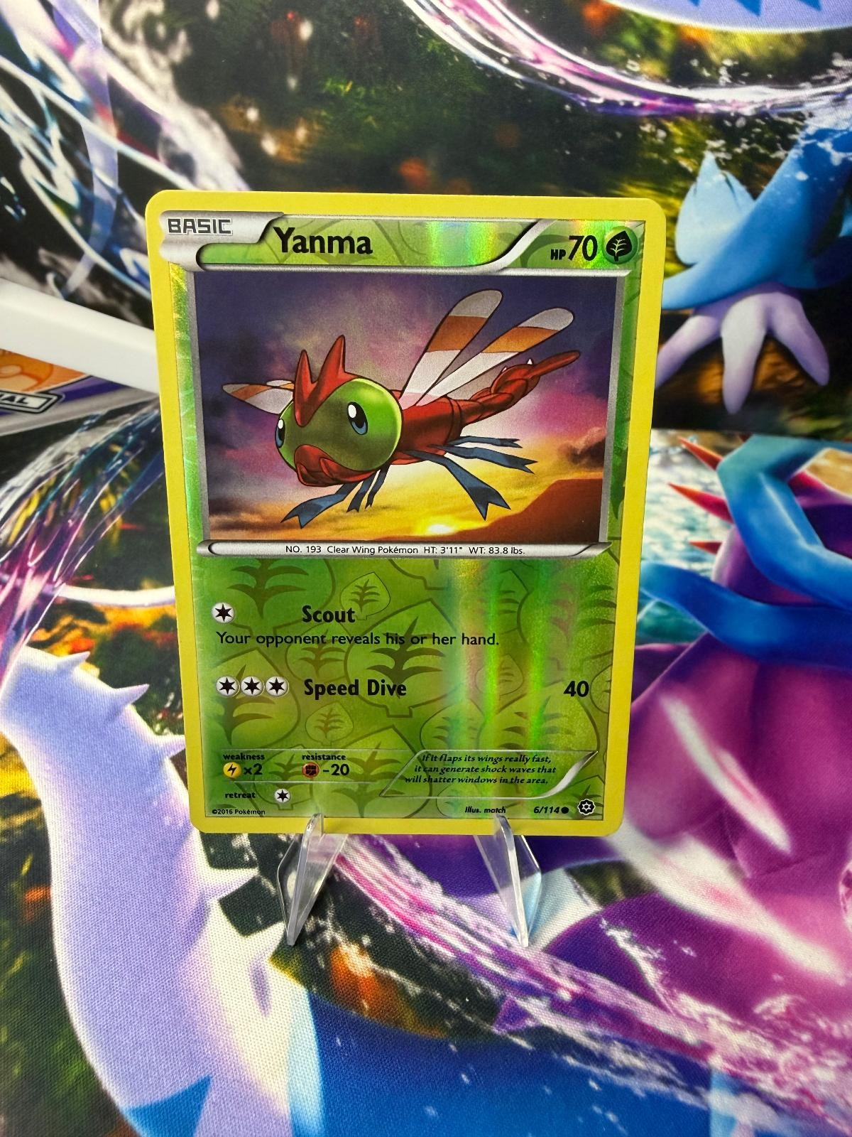 YANMA 6/114 STEAM SIEGE Reverse Holo Common Pokemon