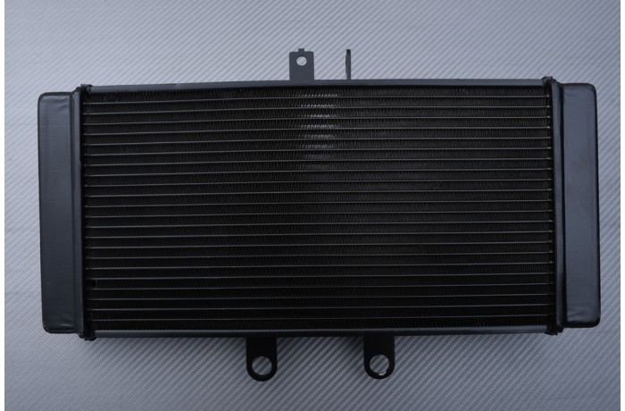Radiateur eau type origine Suzuki Bandit 650 GSF WVCZ 2011-2016