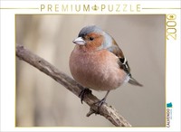 Calvendo Puzzle Buchfink 2000 Teile Puzzle Quer | 2000 Teile Lege-GrößE 90X67Cm