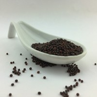 1Kg Senfsaat Schwarz (Ganz) 0 0