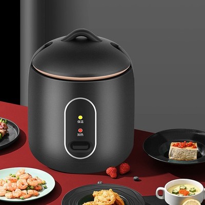 Mini Rice Cooker Multifunction 200W Power Full Auto Portable Rice Cooker For SET