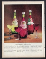1964 GALLO WINE Print Ad "...and they taste as good as they look!"