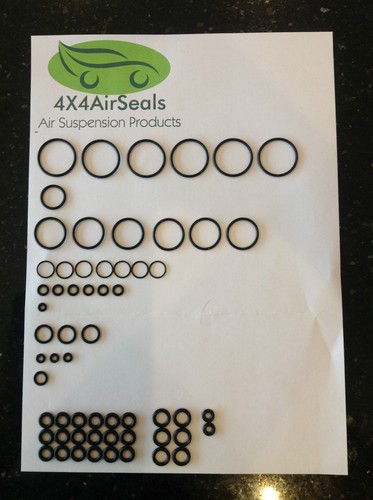 P38 Range Rover Valve Block Solenoid EAS Air Suspension overhaul Oring Fix Kit - 第 1/1 張圖片