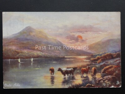 North Wales BALA LAKE um 1905 von Raphael Tuck 6233