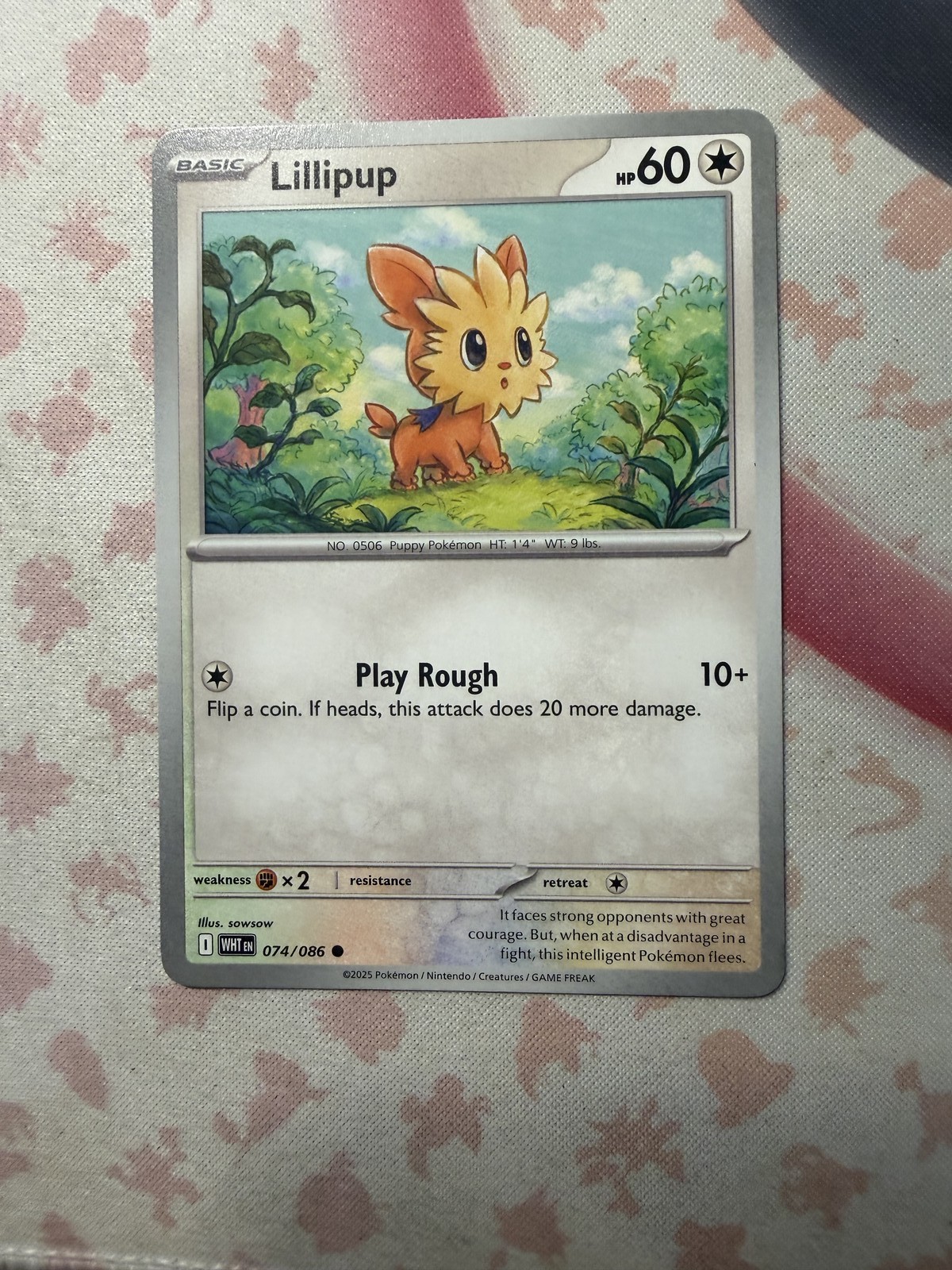 Lillipup Common SV: White Flare 074/086 NM English Pokemon Card