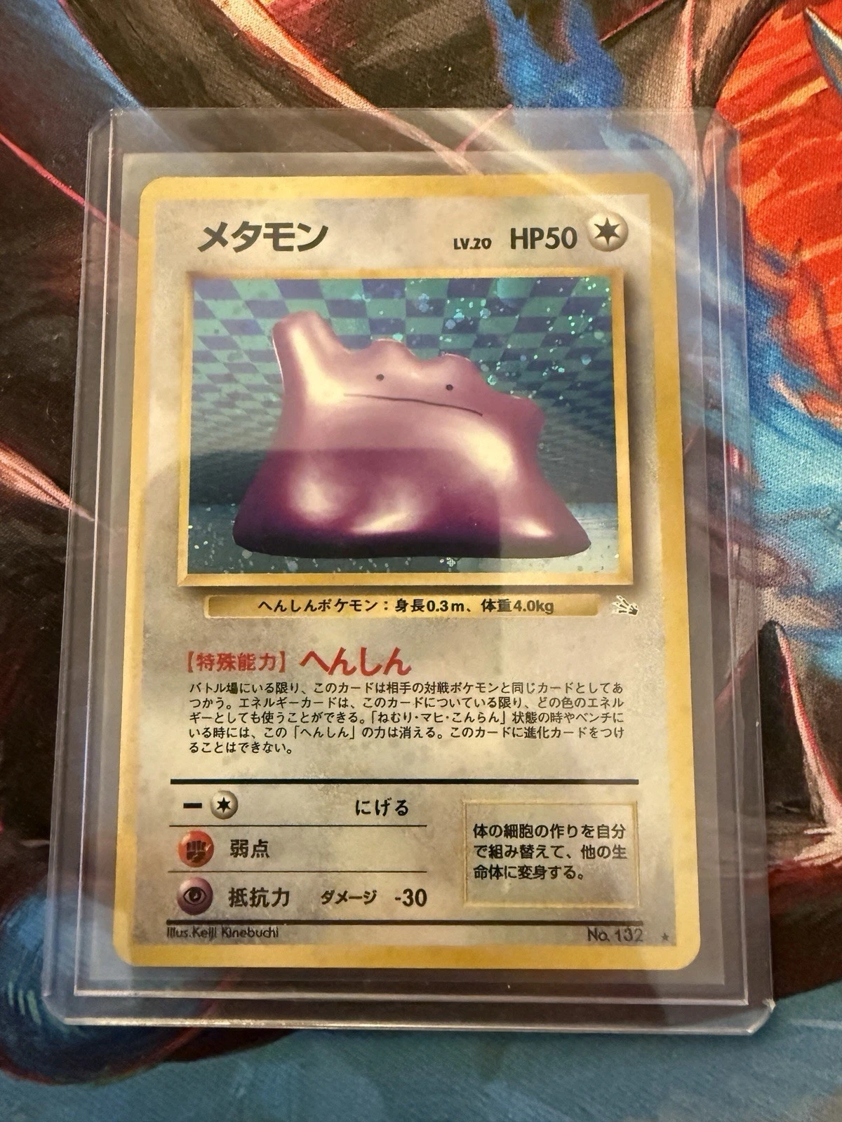 Muk Holo Japanese Fossil No. 089