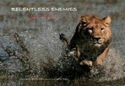 Relentless Enemies : Lions and Buffalo Beverly, Joubert, Dereck J