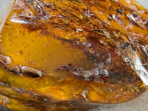 Natural amber, unprocessed, Baltic amber, large piece 895 grams. - Picture 12 of 24