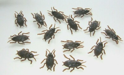 Halloween Roaches Insects Bugs Plastic Realistic Decor Props Brown, Scary 2''