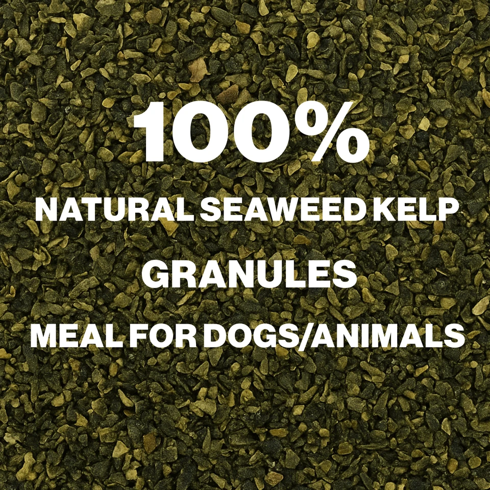 PAW ORIGINALS 100% Natural Seaweed Kelp Meal for Dogs/Animals | Fights Plaque & Tartar | UK
