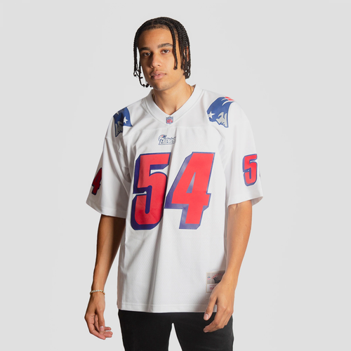 tedy bruschi jersey ebay