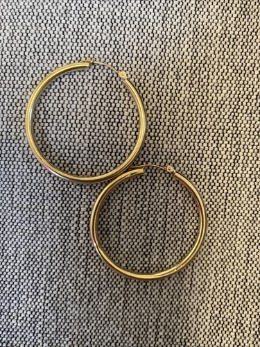 Large Hoops 14k Catbird
