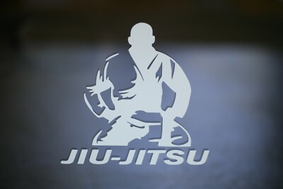INDIGOS UG Adesivi JDM - Die Cut - Got MMA? Decal Mixed Martial Arts Window Sticker - Red - 149 mm x 33 mm