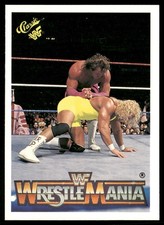 Brutus Beefcake / Mr. Perfect 1990 Classic WWF The History of Wrestlemania #144
